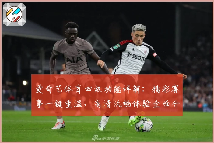 爱奇艺体育回放功能详解：精彩赛事一键重温，高清流畅体验全面升级